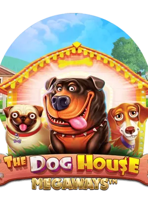 Dog House